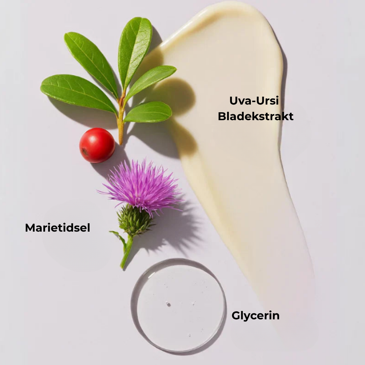 SleepShape™ - Luksuriøs kropswhip – for en fastere og glattere silhuet natten over