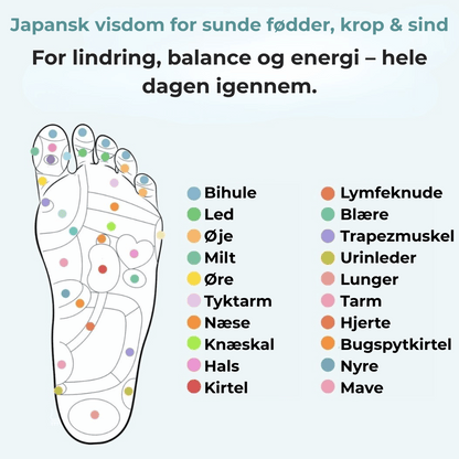 FodMag™- Magnetisk støtte og akupressur, lindrer smerter og giver energi med hvert skridt.